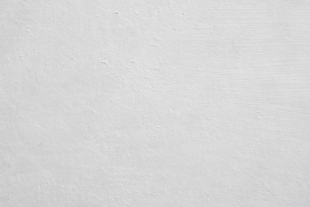 Professional Mold Removal in South Duxbury, MA